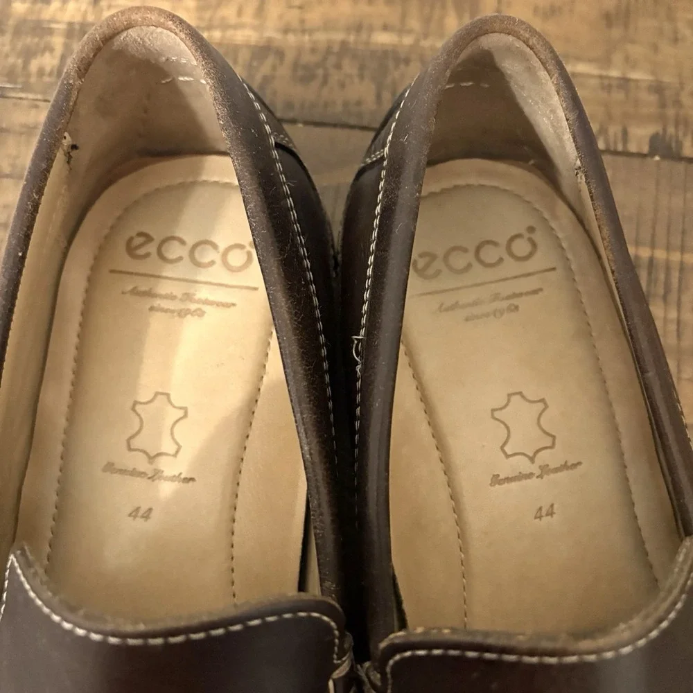 Ecco great just